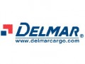 Delmar Corporate Presentation (652播放)